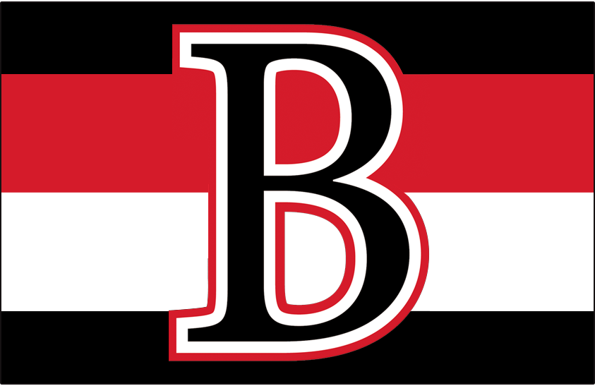 Belleville Senators 2017-Pres Jersey Logo v2 iron on heat transfer